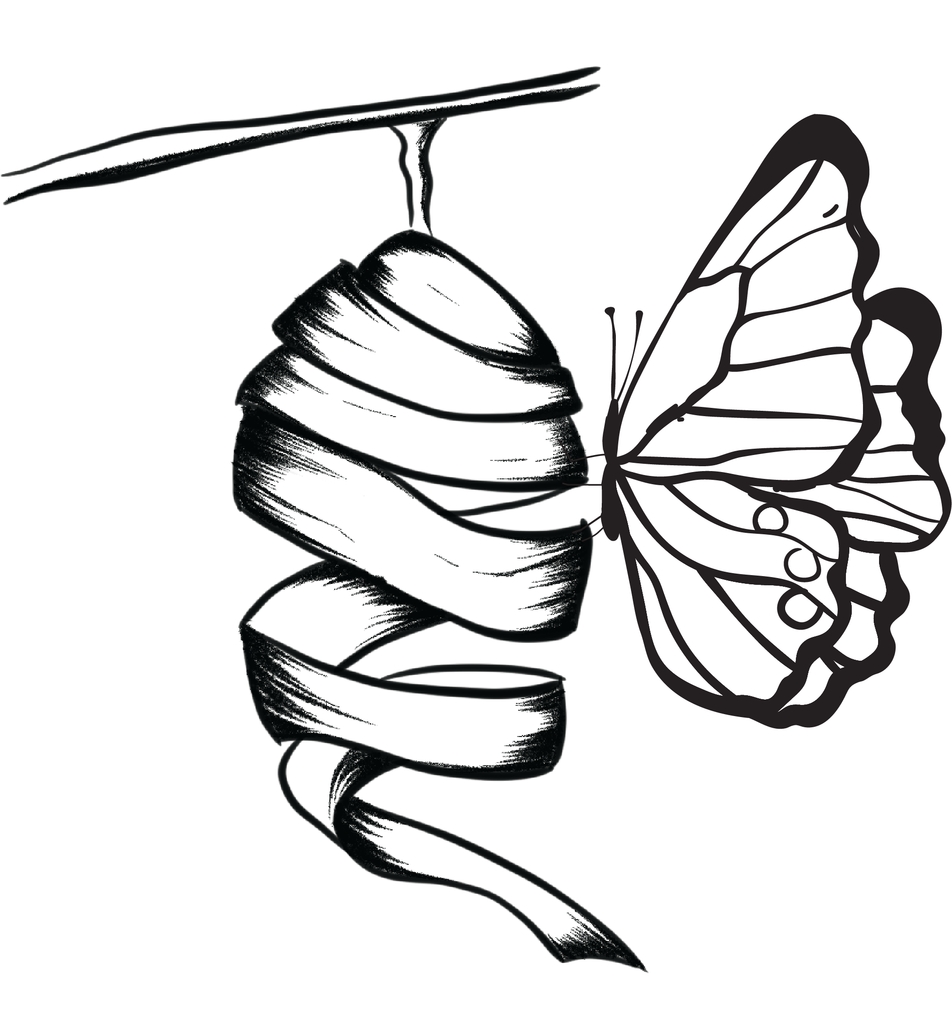 Film Cocoon Logo